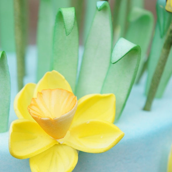Daffodil Cake - Tuck Box Cakes