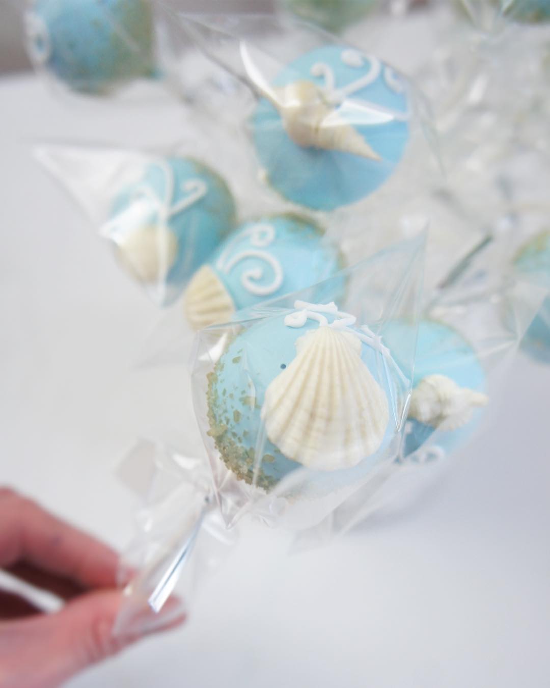 Popsa Shell Seashell Cake Pops