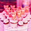Teddy bear cupcakes - Tuck Box Cakes